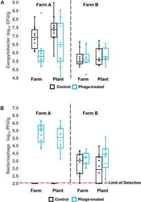 Bacteriophages to Control Campylobacter in Commercially Farmed Broiler Chickens, in Australia